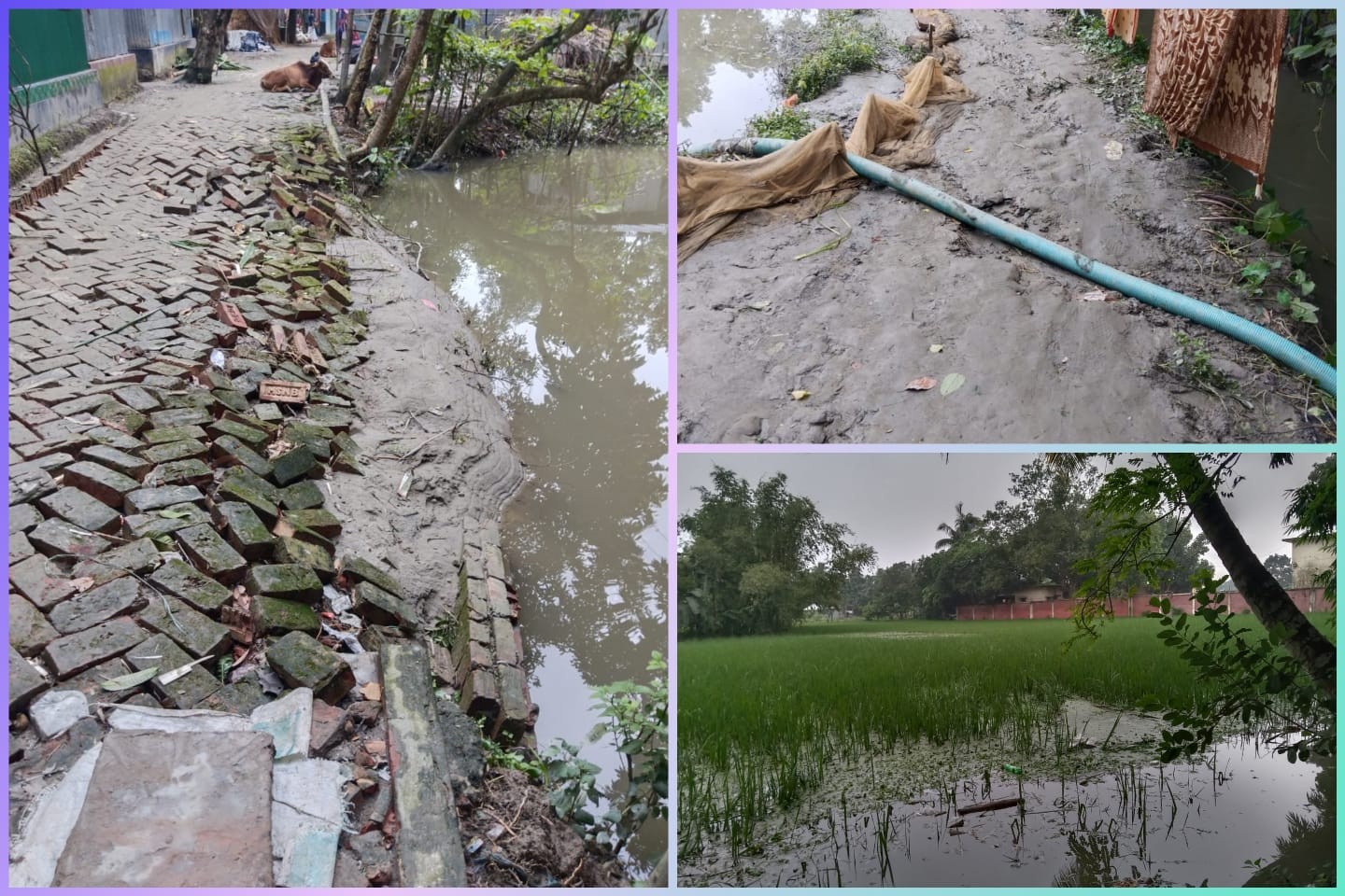 গত টানা ভারিবর্ষণে অষ্টধারে রাস্তা, ফসল, মাছের ফিসারি সহ ব্যপক ক্ষতি।