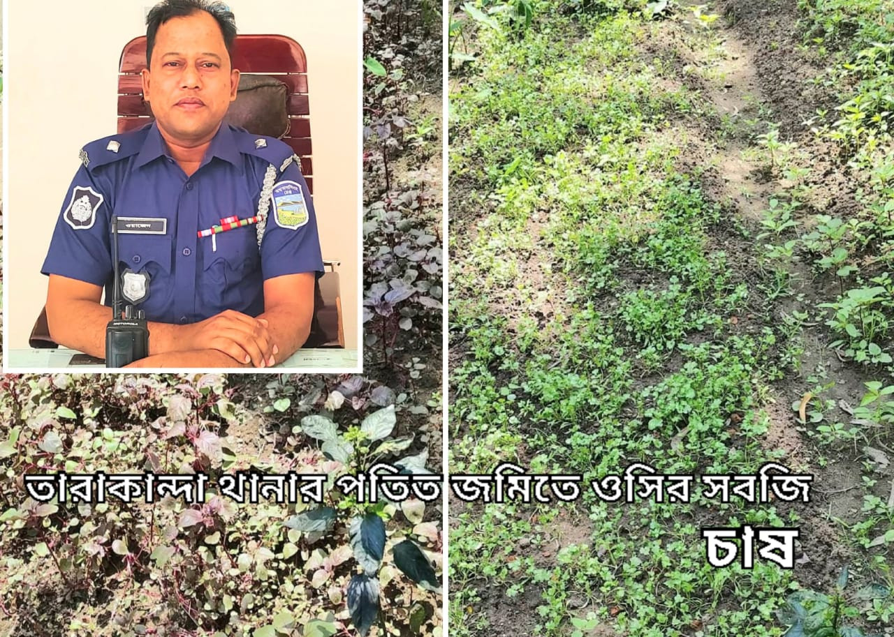 প্রধানমন্ত্রীর নির্দেশনা বাস্তবায়নে তারাকান্দা থানা  চত্বরে ওসির সবজি চাষ