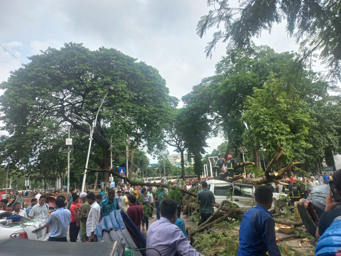 হঠাৎ করেই শহীদ মিনারের সামনের রাস্তায় গাছ ভেঙ্গে পড়ল