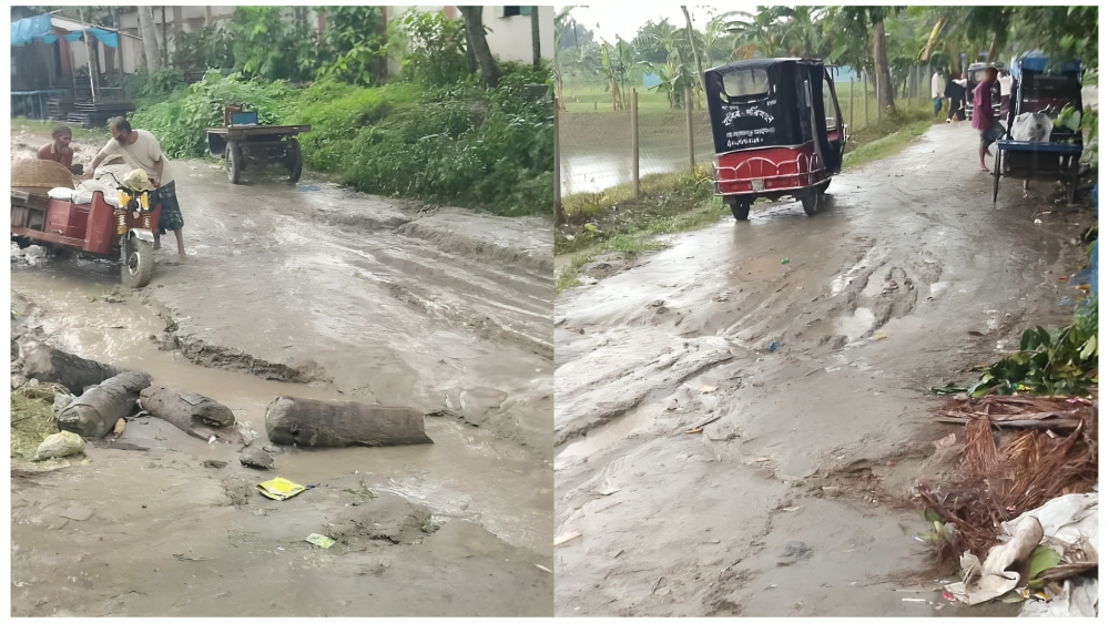পিয়ারপুর বাজার হয়ে নারায়ণ খোলা যাওায়ার একমাত্র রাস্তাটি এখন মরণ ফাঁদ