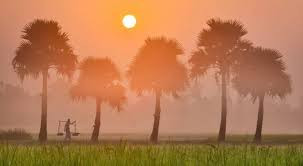 মাঘ মাসের শীত